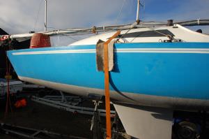 Harlequin 21